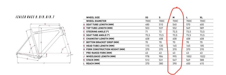 Brugt Focus IZALCO RACE 9.8 2019 2019 Road & Gravel — billede 8 af 8