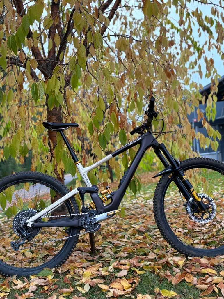Used Specialized Enduro LTD 2023 2023 Mountainbike, Black, 29 — image 4 of 4