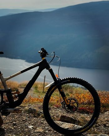 Used Specialized Enduro LTD 2023 2023 MTB
