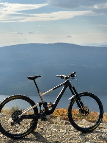 Used Specialized Enduro LTD 2023 2023 Mountainbike, Black, 29 — image 3 of 4