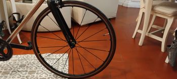 Gebrauchtes IS Passoni Classica 2023 bike, Hellgrau — Bild 5 von 18