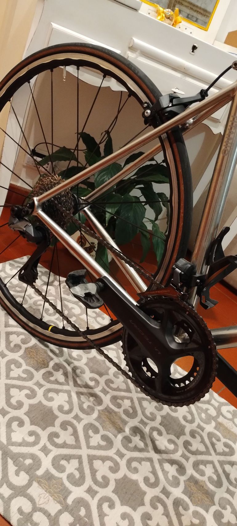 Gebrauchtes IS Passoni Classica 2023 bike, Hellgrau — Bild 3 von 18