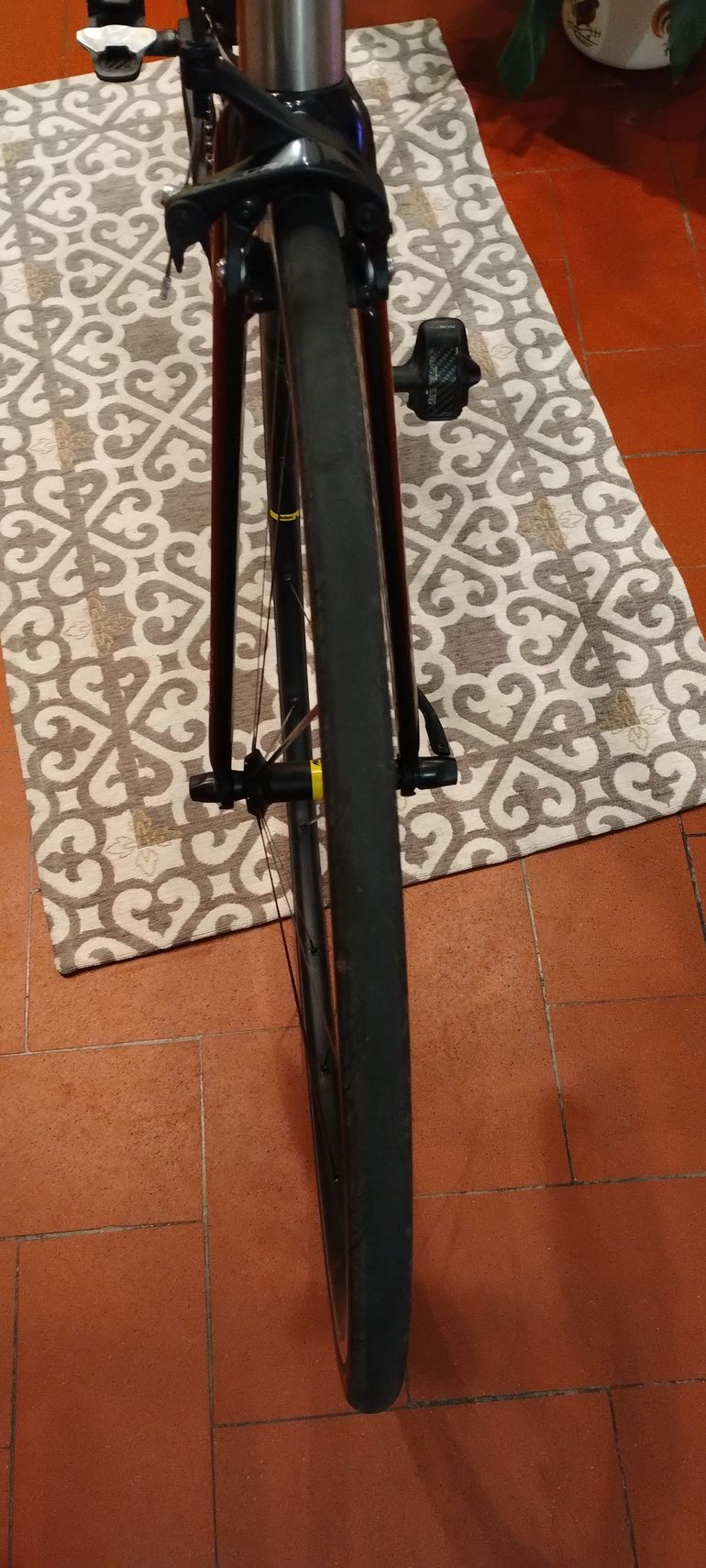 Gebrauchtes IS Passoni Classica 2023 bike, Hellgrau — Bild 7 von 18