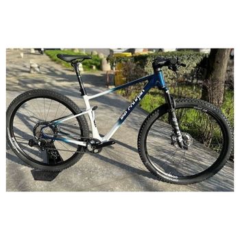 Used Lee Cougan Innova 2024 MTB