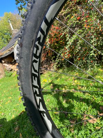 Used Stanton Switchback Steel 2020 Mountainbike, Black — image 8 of 8