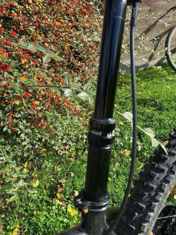 Used Stanton Switchback Steel 2020 Mountainbike, Black — image 6 of 8