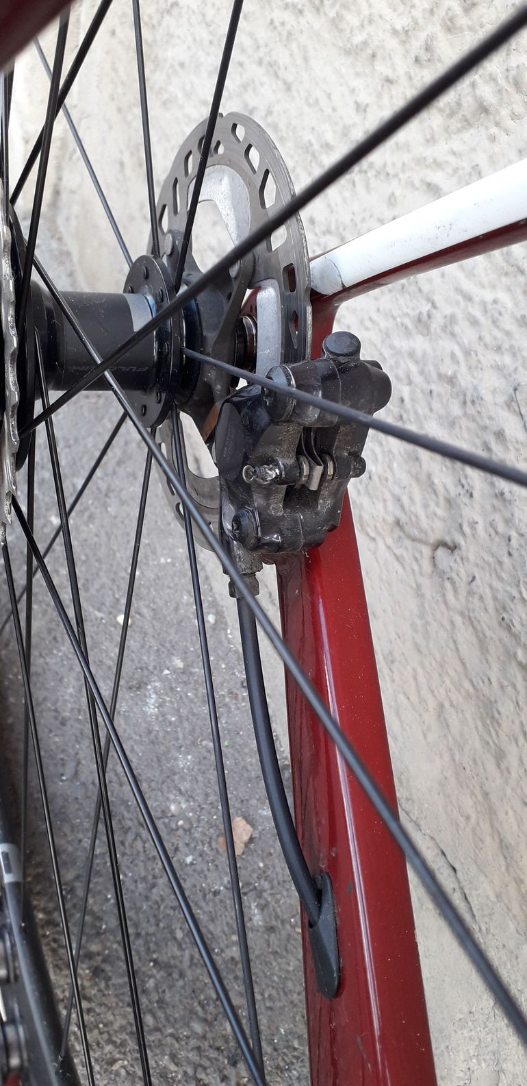 Used Olmo Gepin 4.0 Ultegra 12v Di2 2023 Road & Gravel, Red — image 9 of 13