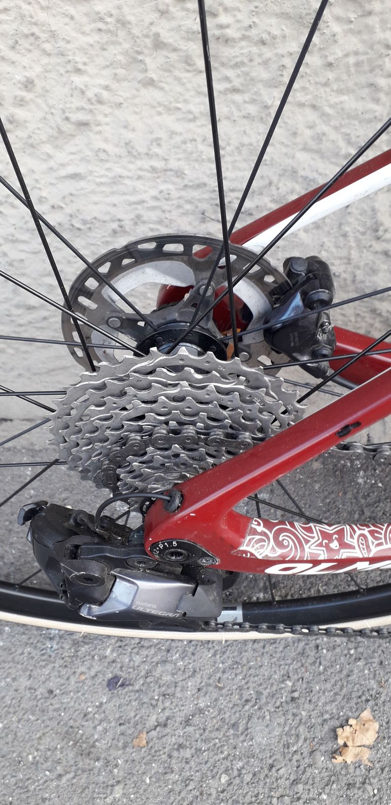 Used Olmo Gepin 4.0 Ultegra 12v Di2 2023 Road & Gravel, Red — image 6 of 13