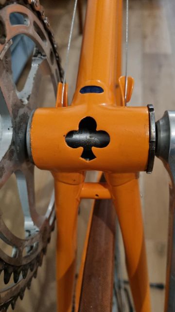 Used Colnago SUPER Replica Team MOLTENI 1973 Road & Gravel, Orange — image 9 of 10