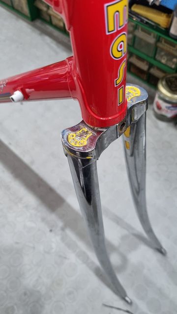 Used Masi Prestige Frameset 1970 Road & Gravel, Red — image 8 of 10