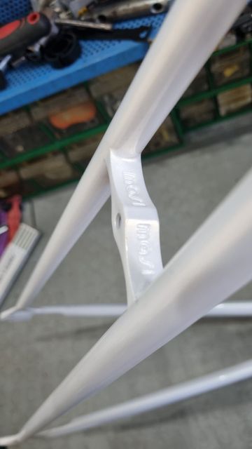 Used Masi 3V Frameset 1970 Road & Gravel, White — image 9 of 10