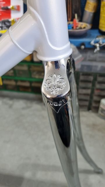 Used Masi 3V Frameset 1970 Road & Gravel, White — image 7 of 10