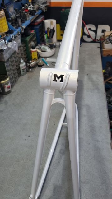 Used Masi 3V Frameset 1970 Road & Gravel, White — image 3 of 10