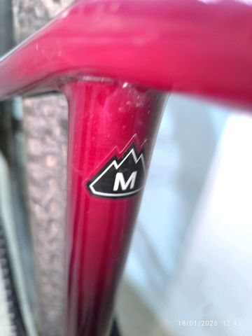Gebrauchtes Specialized Epic Hardtail Comp 2022 2022 Mountainbike, Rot, 29 — Bild 5 von 32