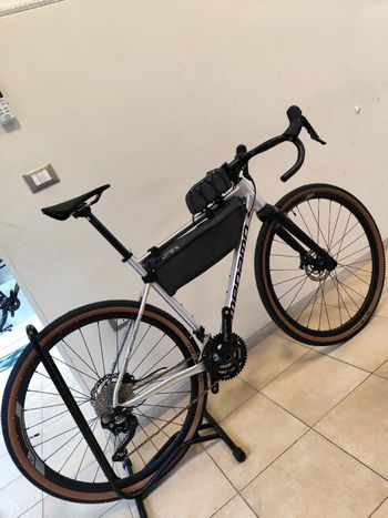 Megamo, JAKAR 30 2025
