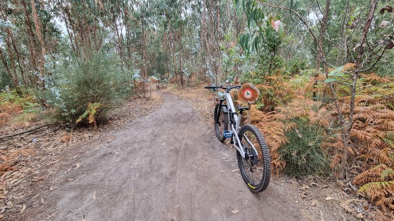 Used Propain Tyee AL5 29 Custom 2022 Mountainbike, Light Gray, 29 — image 7 of 7