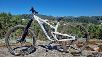 Used Propain Tyee AL5 29 Custom 2022 MTB