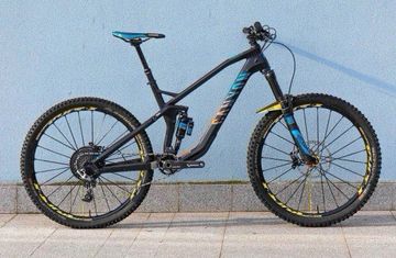 Used Canyon Strive CF 9.0 Team 2018 2018 MTB