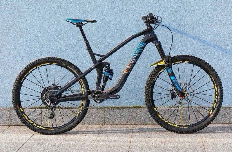 Canyon Strive CF 9.0 Team 2018 2018 Mountainbike d'occasion — image 1 sur 8