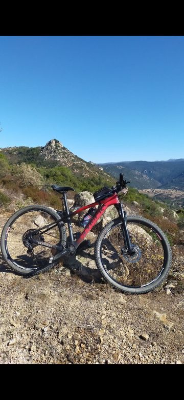 Used Olympia Iron 2020 MTB