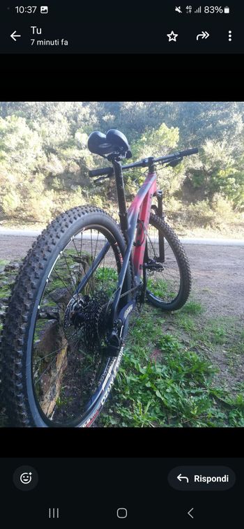 Tweedehands Olympia Iron 2020 Mountainbike — afbeelding 3 van 4