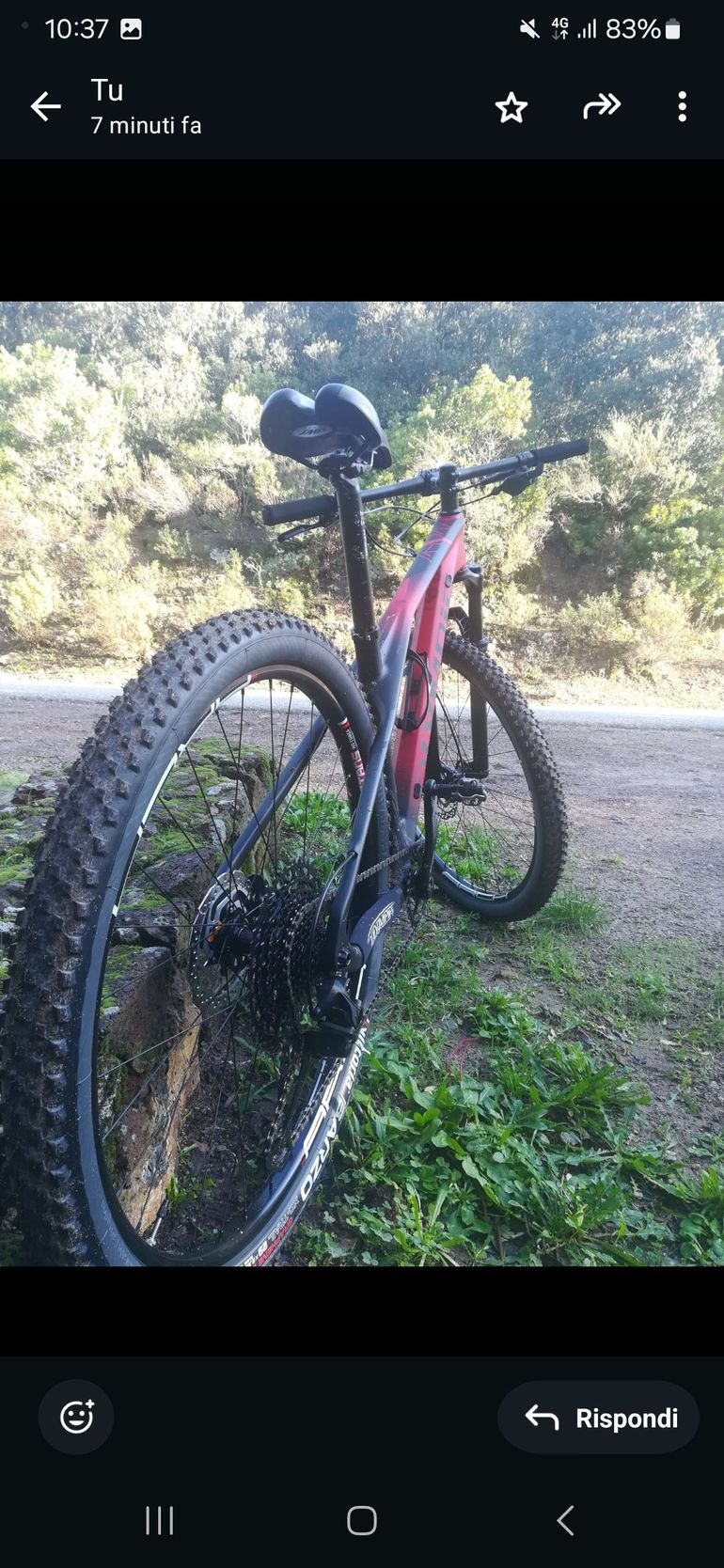 Tweedehands Olympia Iron 2020 Mountainbike — afbeelding 3 van 4