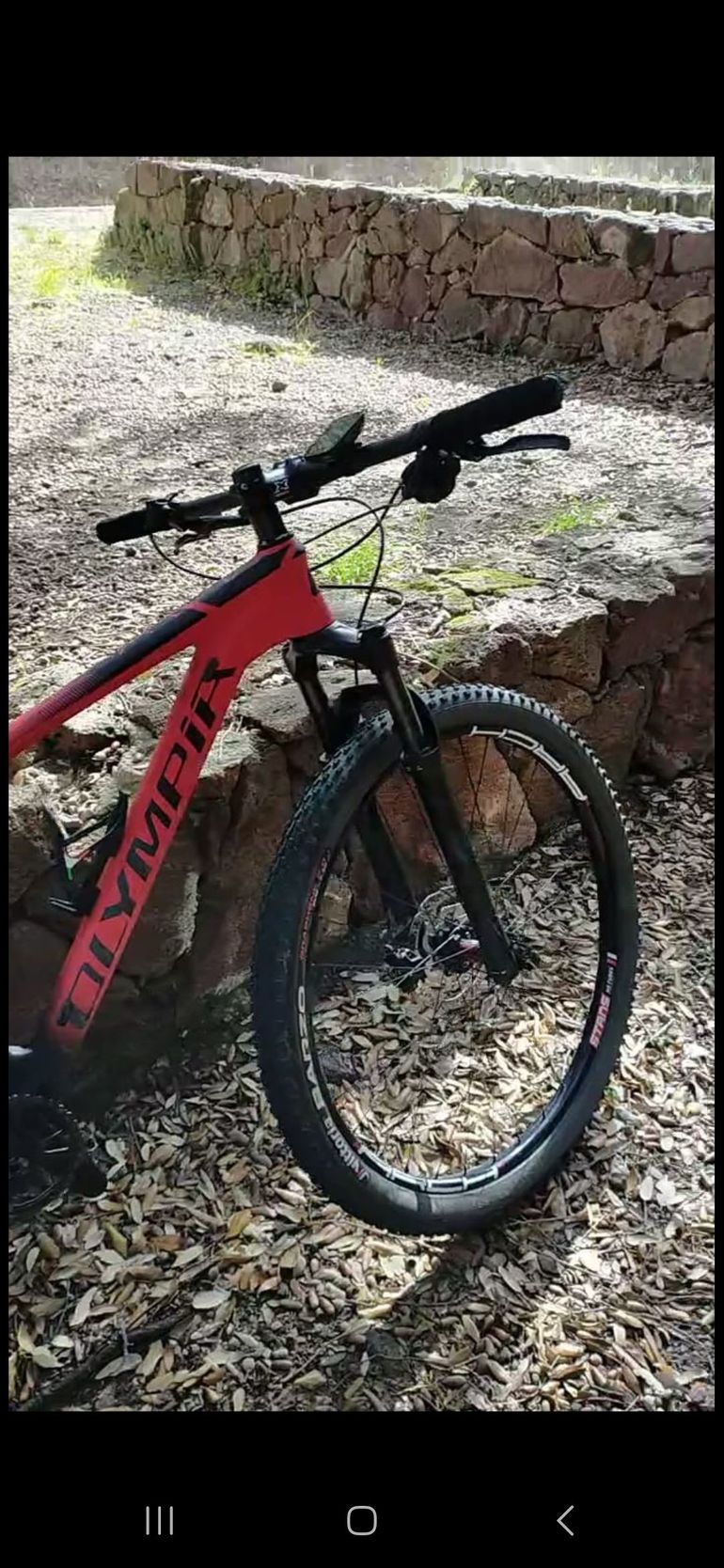 Tweedehands Olympia Iron 2020 Mountainbike — afbeelding 4 van 4