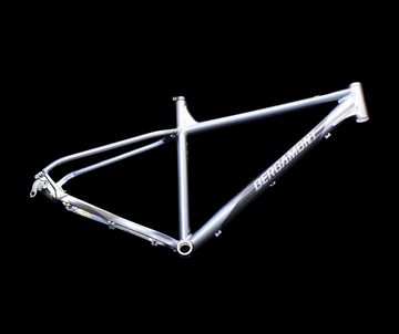 Used Bergamont Revox 3 grey Frameset 2020 Mountainbike, Light Gray — image 2 of 3