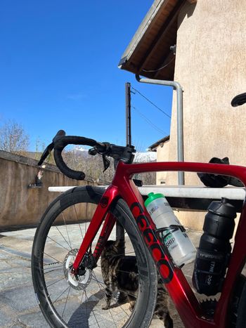 Used Ceepo Mamba R 2023 Road & Gravel, Rot — image 3 of 3