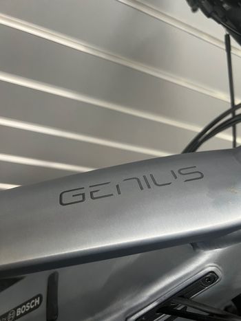 Scott Genius eRIDE 930 2022 2022 Mountainbike usato, Grigio chiaro — immagine 5 di 5
