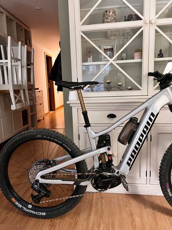Used Propain EKANO 2 AL Goldrush 2024 2024 Mountainbike, Light Gray, 29, 27.5 — image 10 of 10