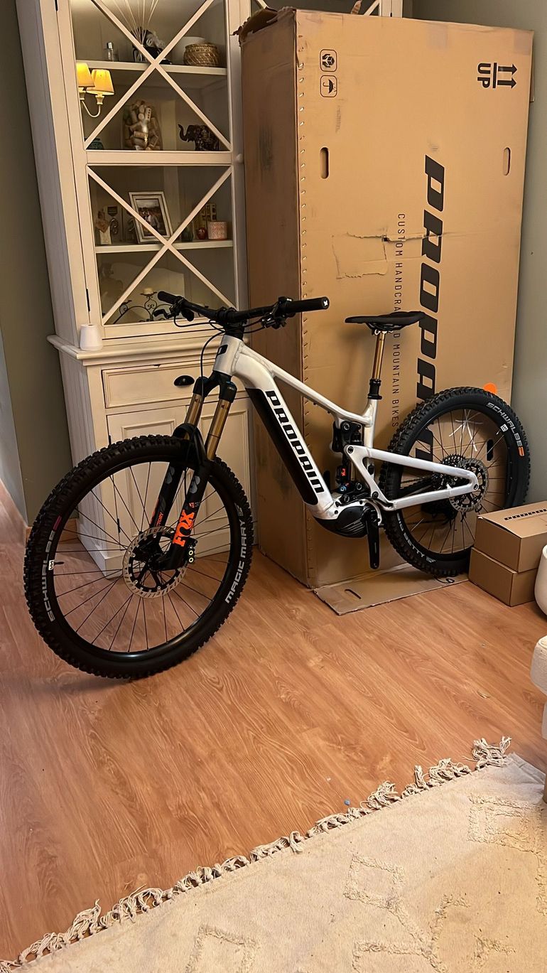 Used Propain EKANO 2 AL Goldrush 2024 2024 Mountainbike, Light Gray, 29, 27.5 — image 6 of 10