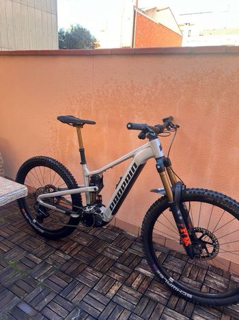 Used Propain EKANO 2 AL Goldrush 2024 2024 Mountainbike, Light Gray, 29, 27.5 — image 2 of 10