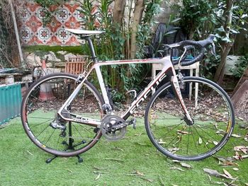 Used Alchemy test 2024 Road & Gravel