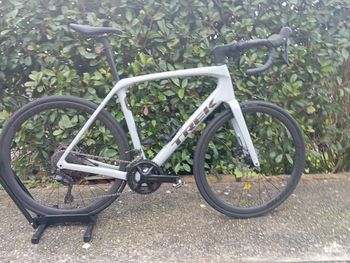 Used Trek Domane SL 5 Gen 4 2025 2025 Road & Gravel, Light Gray — image 1 of 3