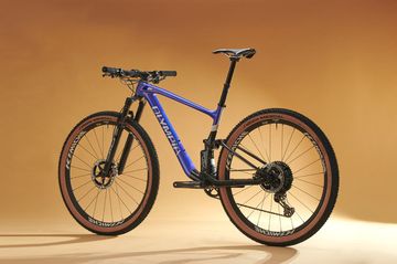 Used Olympia F1-X 2025 Mountainbike, Black — image 8 of 12