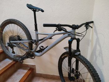 Used Specialized Stumpjumper Comp Alloy 2021 2021 MTB