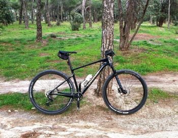 Used Cannondale Scalpel HT Carbon4 SID XT 2023 MTB