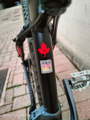 Used Focus WHISTLER 3.6 2015 Mountainbike, Black — image 19 of 19