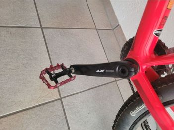 Focus Raven 8.7 2021 2021 Mountainbike d'occasion — image 2 sur 3