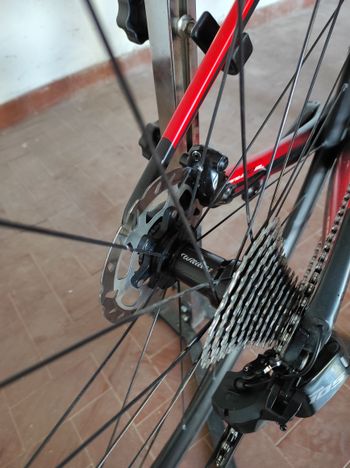 Used Wilier CENTO10 SL SHIMANO 105 R7150 Di2 12S 2023 2023 Road & Gravel