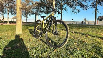 Used Radon JEALOUS AL 8.0 HD 2024 2024 Mountainbike, Verde — image 2 of 6
