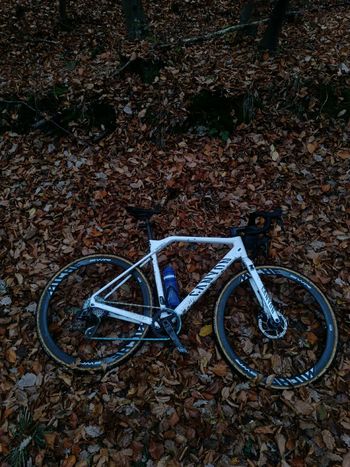 Used Canyon Inflite CF SL 7 AXS 2024 2024 Road & Gravel, White — image 2 of 3