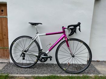 Used Other Brands Willingerber Pinkie 2014 Road & Gravel