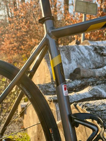 Used Lapierre SENSIUM AL 500 DISC 2020 2020 Road & Gravel, Hellgrau — image 6 of 8