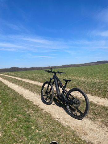 Brugt Canyon Strive:ON CFR Underdog 2024 2024 Mountainbike — billede 6 af 9