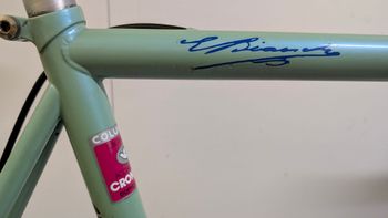 Used Bianchi Campione 1995 Road & Gravel, Green — image 16 of 26