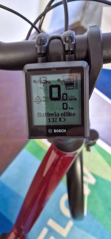 Used Riese & Müller Swing4 silent 2024 2024 Mountainbike, Red, 700 — image 3 of 4