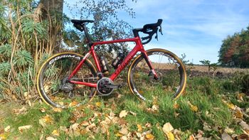 Used Wilier Filante SLR SRAM FORCE AXS D2 2X12S WITH POWERMETER 2024 2024 Road & Gravel