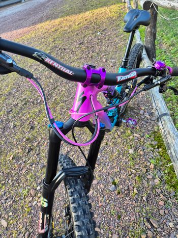 Used Specialized Women's Stumpjumper Comp Carbon 27.5—Mixtape LTD 2019 2019 Mountainbike, Purple, 27.5 — image 6 of 6